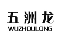 重庆五洲龙新能源汽车
